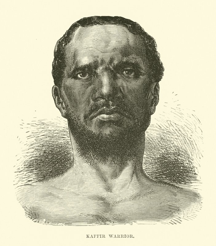Kaffir harcos alkotó: English School