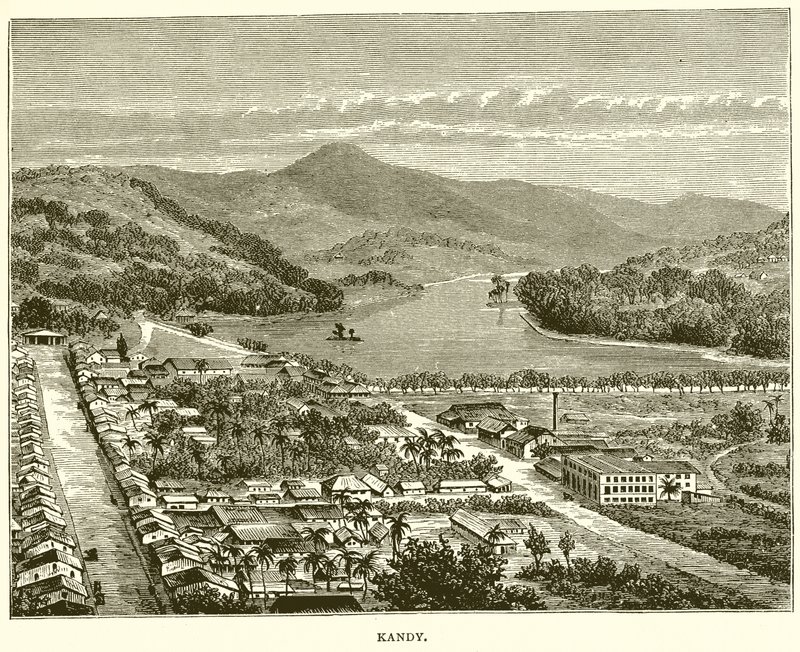 Kandy alkotó: English School