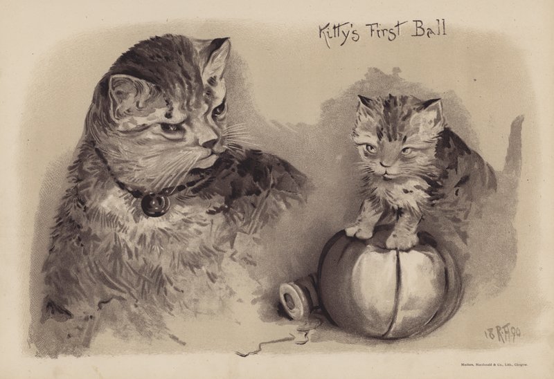 Kitty első bálja (chromolitho) alkotó: English School