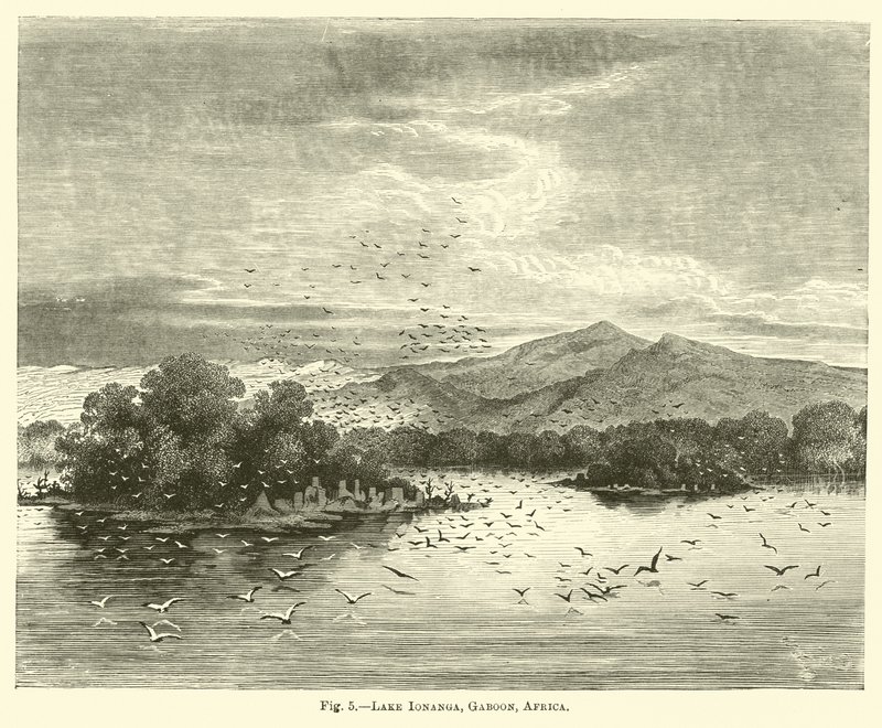 Ionanga-tó, Gaboon, Afrika alkotó: English School