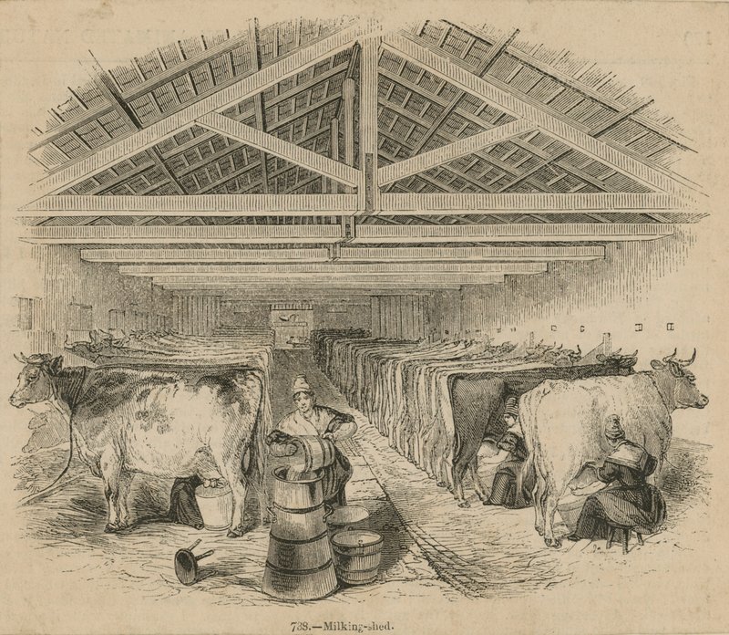 Laycocks Dairy Farm, 1841. júliusi keltezésű alkotó: English School