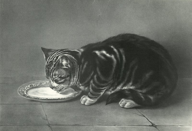 Le Gourmand, A falánk alkotó: English School