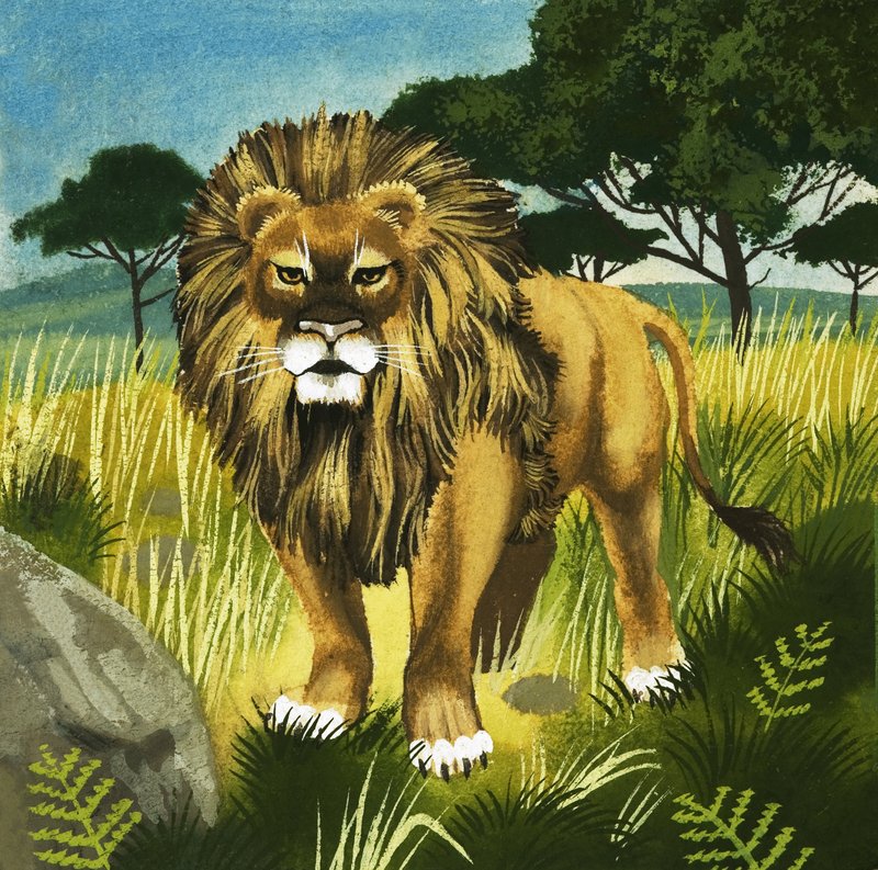 Lion alkotó: English School