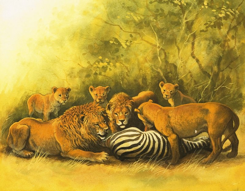 A zebra tetemén táplálkozó oroszlánok alkotó: English School