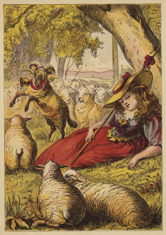 Kis Bo-Peep (színes metszet) alkotó: English School