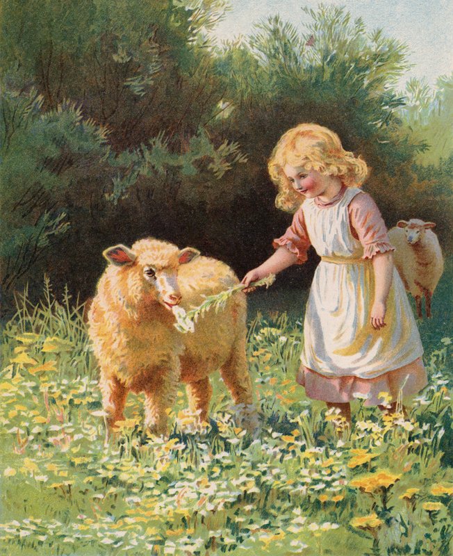 Kislány virággal eteti a juhot a réten (chromolitho) alkotó: English School