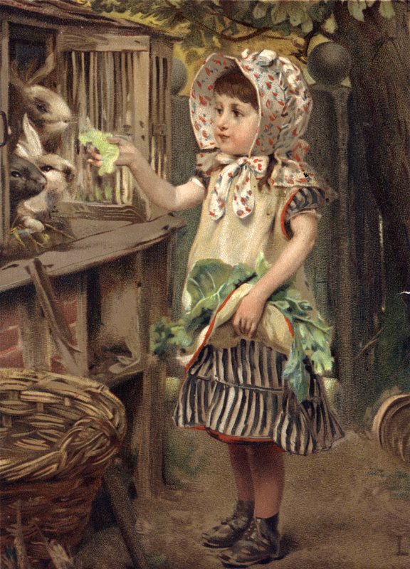 Kislány etető nyulakat alkotó: English School