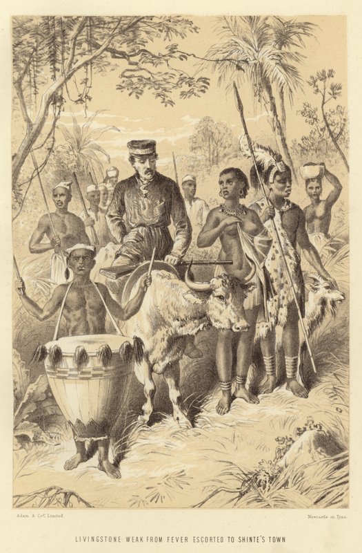 A láztól gyenge Livingstone-t Shintes Townba kísérték alkotó: English School