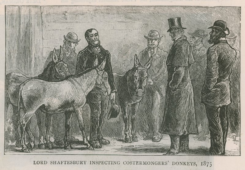 Lord Shaftesbury a költségkereskedők szamarait vizsgálja alkotó: English School