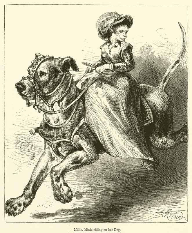 Mademoiselle Minie a kutyáján lovagol (metszet) alkotó: English School