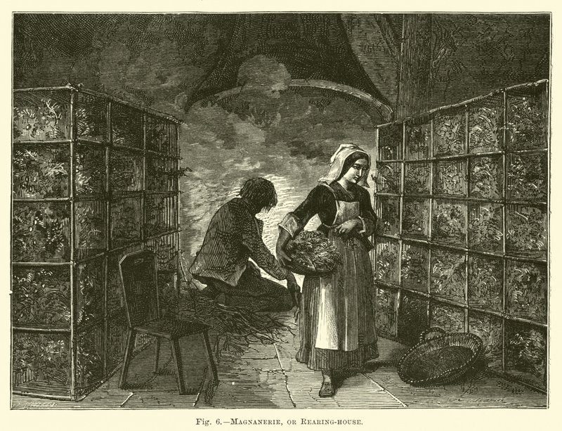 Magnanerie, vagy nevelőház alkotó: English School