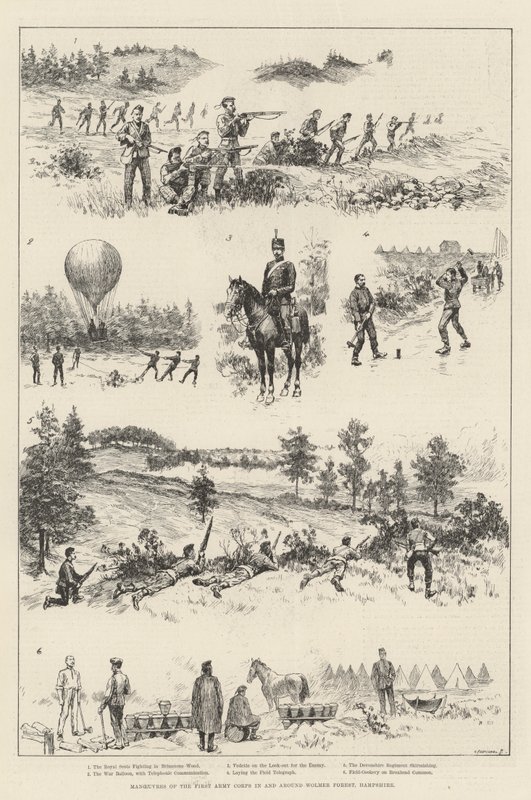 Az első hadsereg hadtestének manőverei Wolmer Forestben és környékén, Hampshire (metszet) alkotó: English School