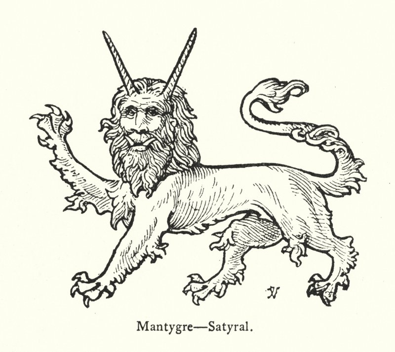Mantygre, Satyral (metszet) alkotó: English School