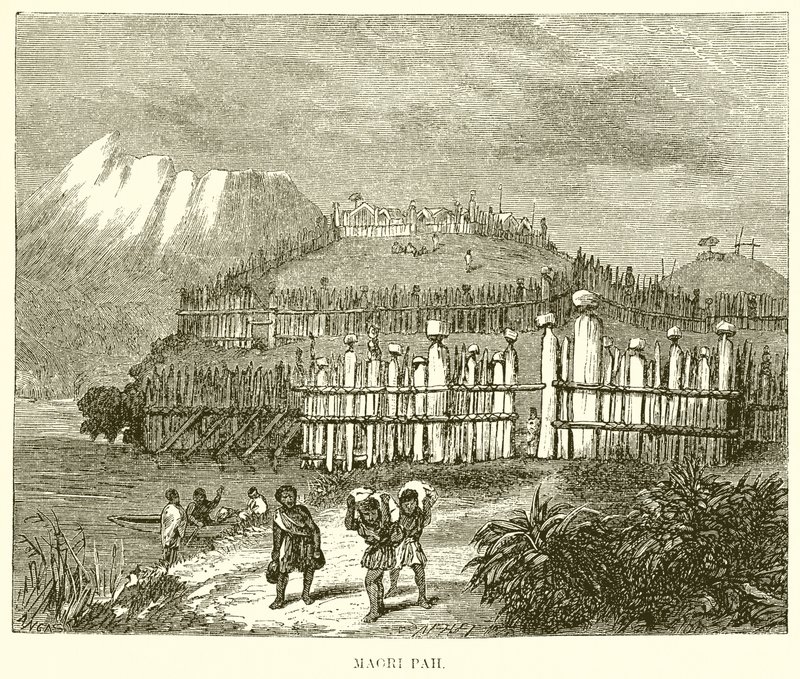 Maori Pah alkotó: English School
