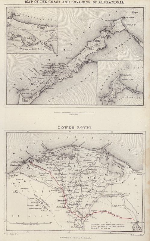 Térkép: Alexandria partvidékének és környékének térképe; Alsó-Egyiptom (színes litográfia). alkotó: English School