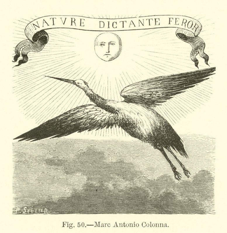 Marc Antonio Colonna alkotó: English School