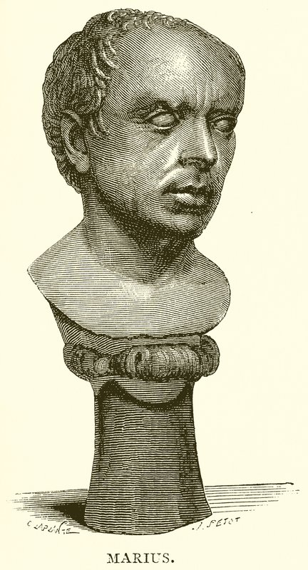 Marius alkotó: English School