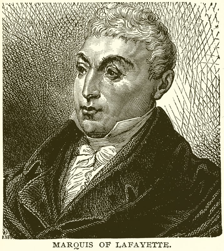 Lafayette márki alkotó: English School