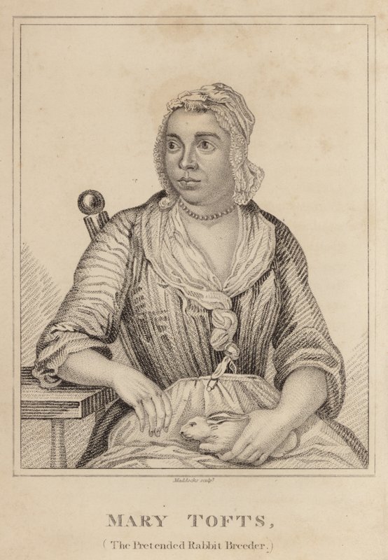 Mary Tofts, A tettetett nyúltenyésztő alkotó: English School