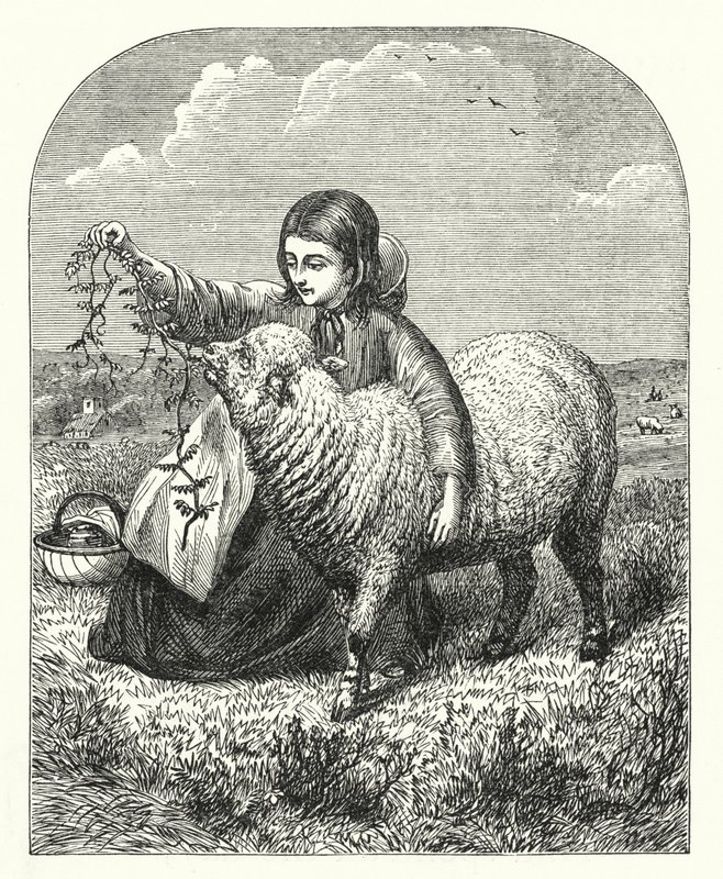 Mária báránya (metszet) alkotó: English School