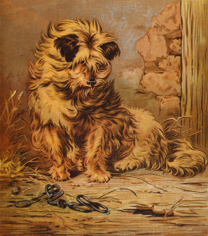 Jacko mester (színes litográfia) alkotó: English School
