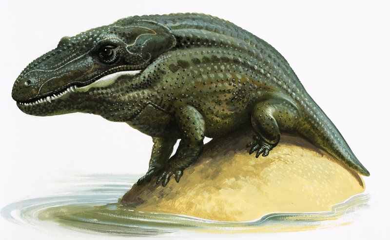 Mastodonsaurus alkotó: English School