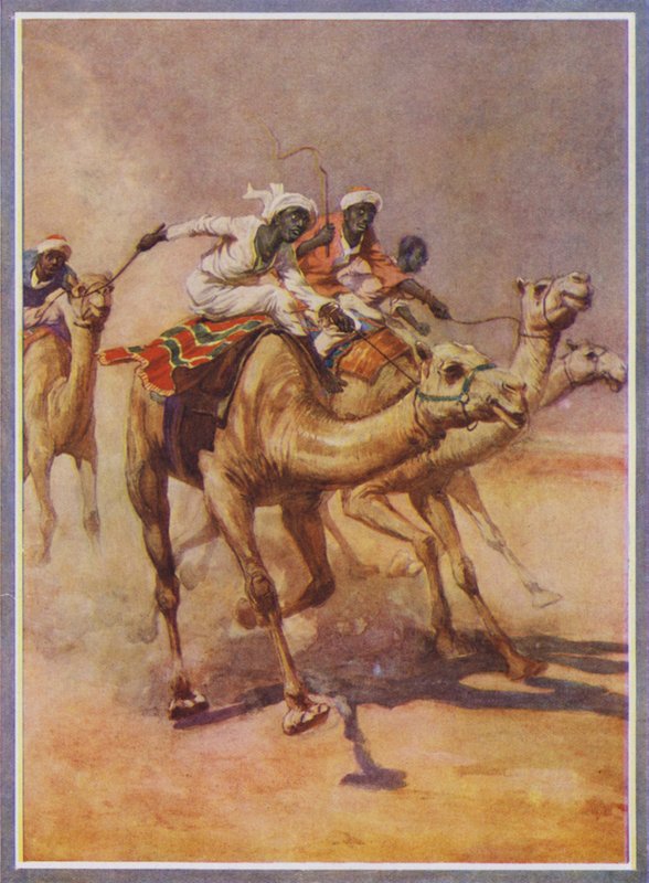 Tevéken lovagló férfiak egy versenyen a sivatagban (színes litho) alkotó: English School