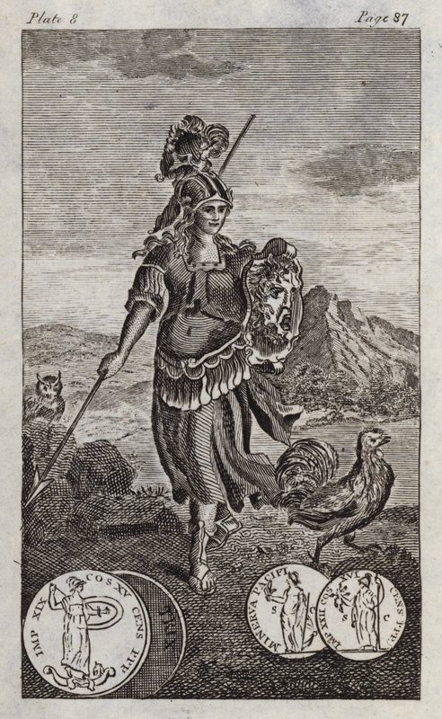 Minerva vagy Pallas (metszet) alkotó: English School