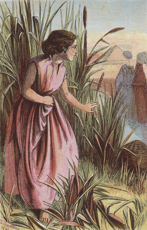Miriam a bárkát nézi (színes metszet) alkotó: English School