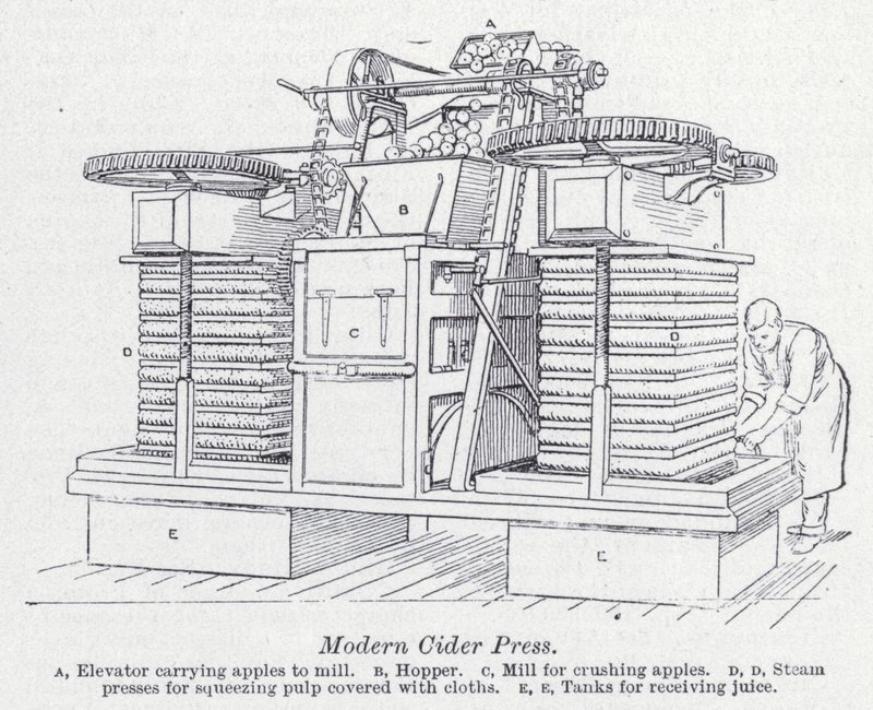 Modern almabor prés (litho) alkotó: English School