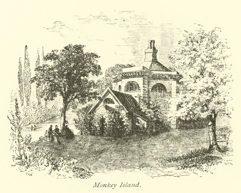 Majomsziget alkotó: English School