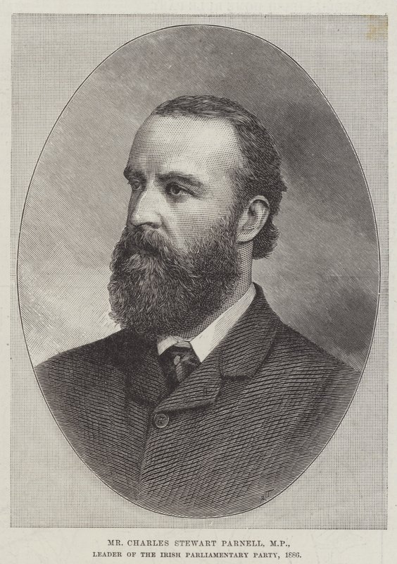 Charles Stewart Parnell képviselő, az Ír Parlamenti Párt vezetője alkotó: English School