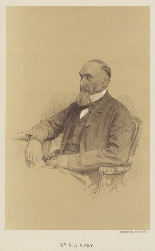 Mr G A Gray (litho) alkotó: English School