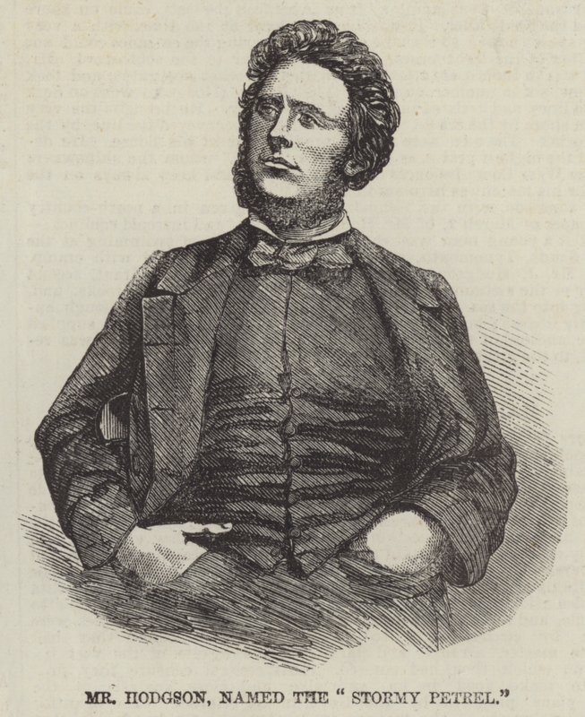 Mr Hodgson, a "Viharos Petrel" (metszet) alkotó: English School