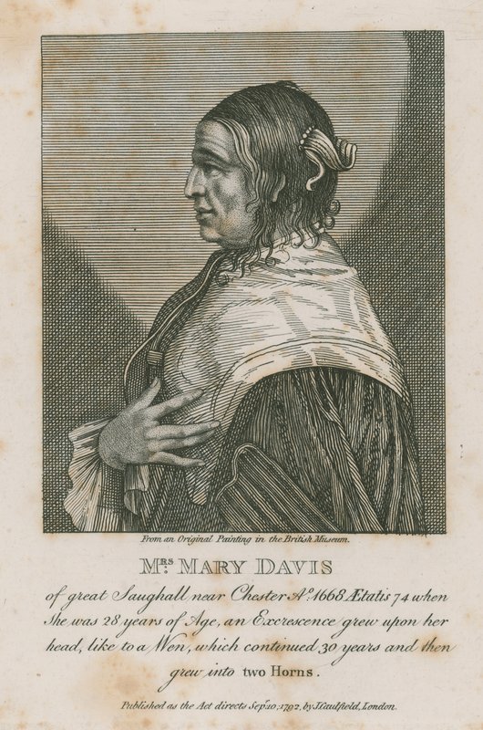 Mrs. Mary Davis a Chester melletti nagy Saughallból, 1668 alkotó: English School