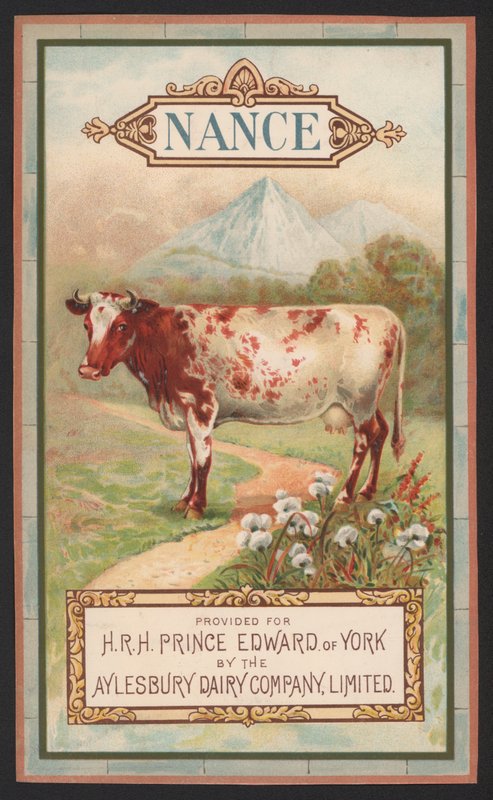 Nance, az Aylesbury Dairy Company reklámja alkotó: English School