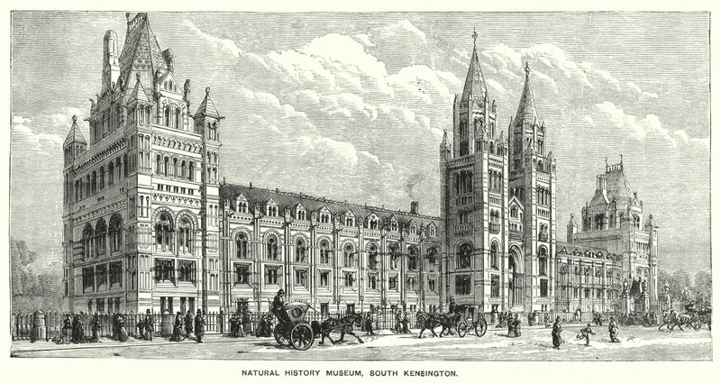 Természettudományi Múzeum, South Kensington (metszet) alkotó: English School
