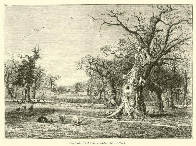 A Kecskekar közelében, a Windsor Great Parkban alkotó: English School