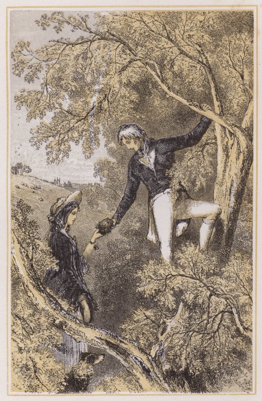 Nelson madárfészkelés a feleségével (színes metszet) alkotó: English School