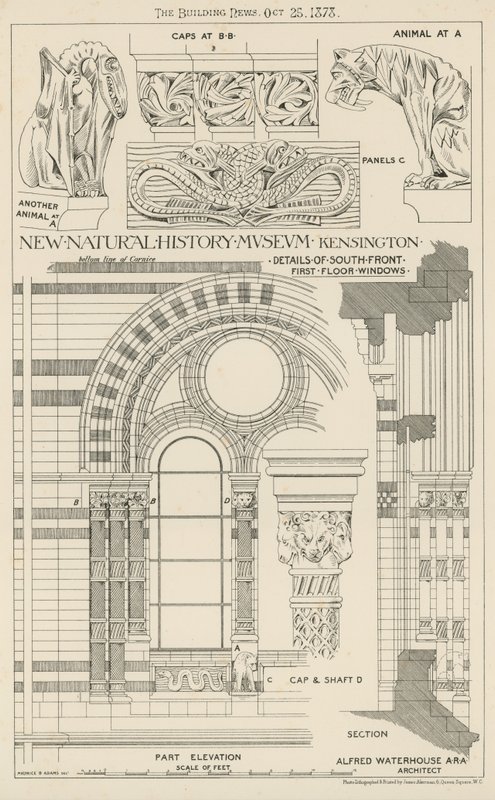 New Natural History Museum, South Kensington, London alkotó: English School