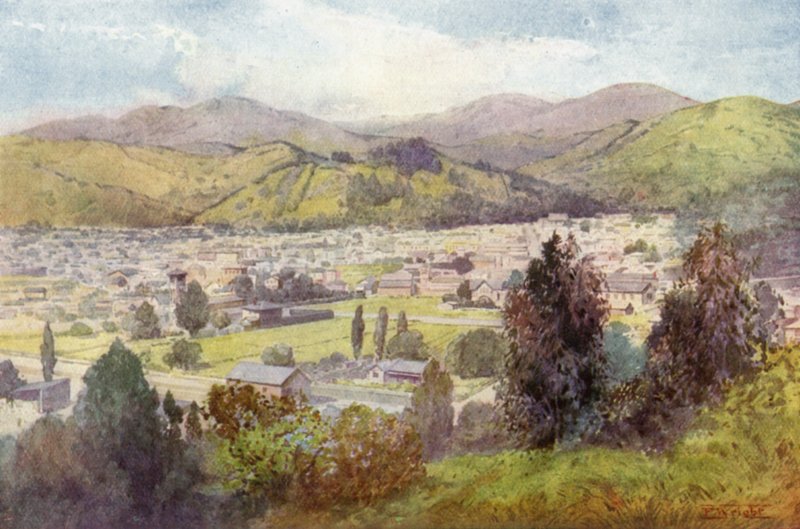 Új-Zéland: Nelson (színes litográfia) alkotó: English School