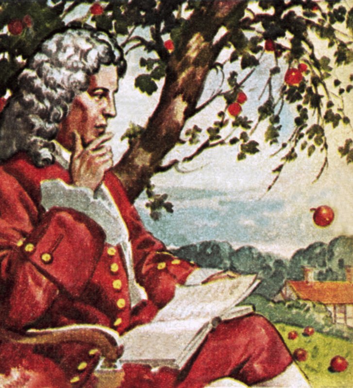 Newton nézi az almák hullását alkotó: English School