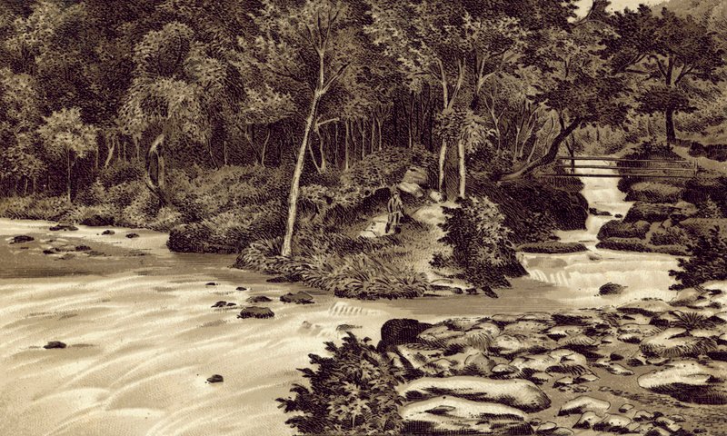 Észak-Devon: "The Watersmeet", Lynmouth (litográfia) alkotó: English School