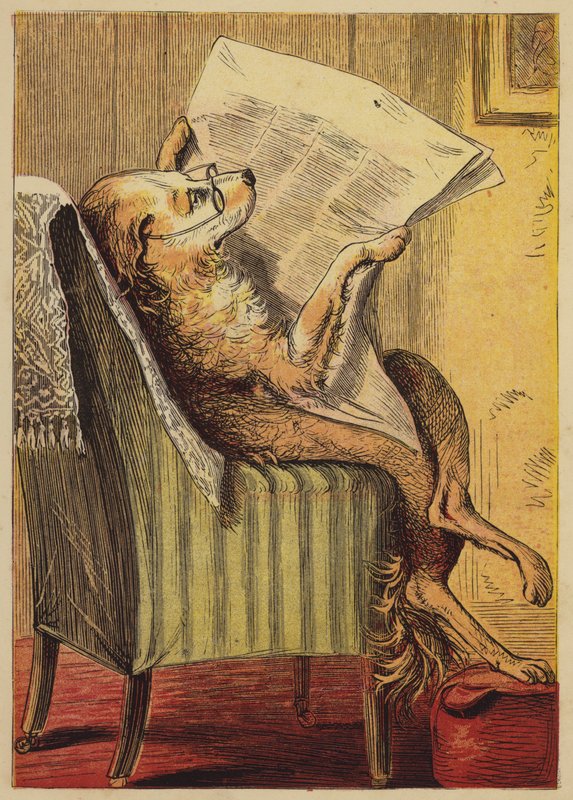Old Mother Hubbard (színes metszet) alkotó: English School