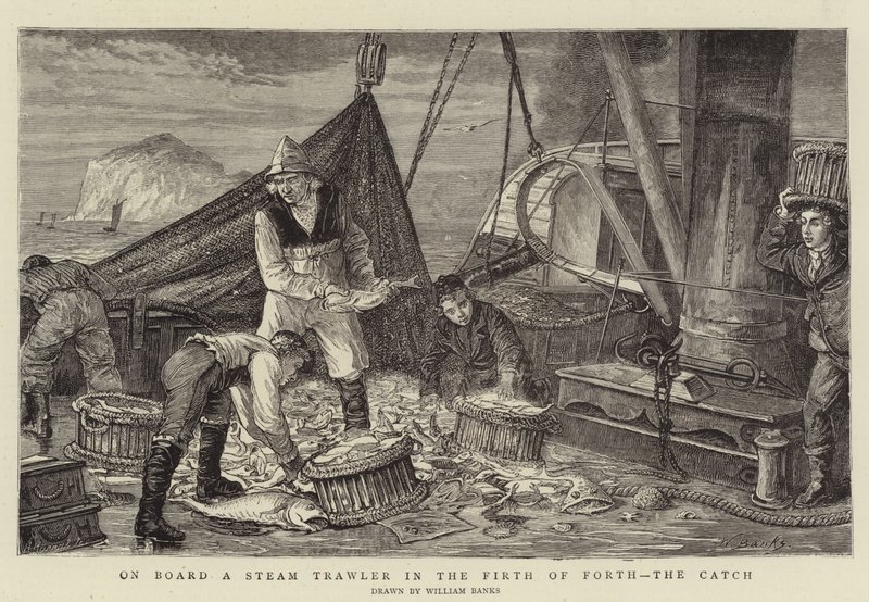 Egy gőzvonóhálós hajó fedélzetén a Firth of Forthban, a Catch alkotó: English School