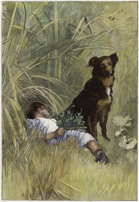 Résen alkotó: English School
