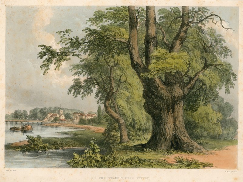 A Temze folyón, Putney közelében, Londonban alkotó: English School