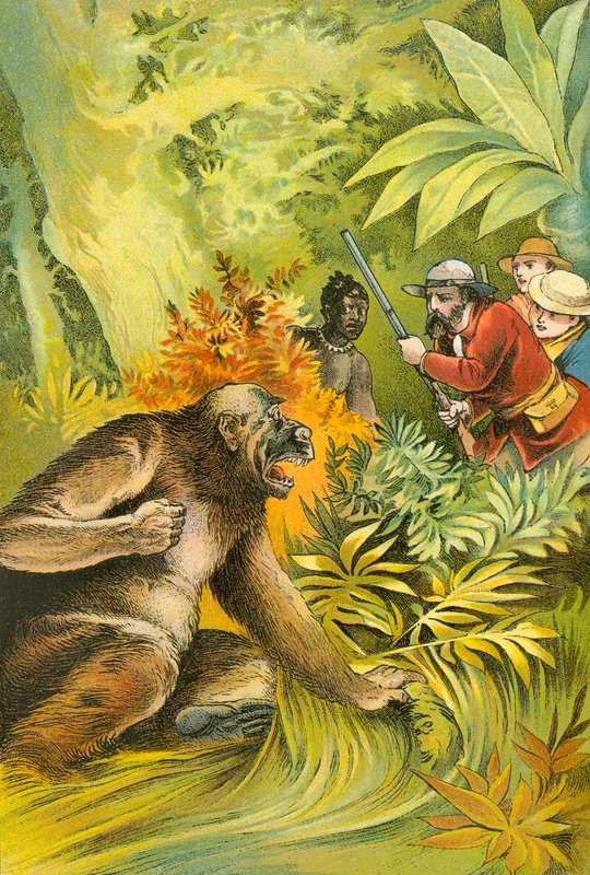 Az első gorillánk alkotó: English School