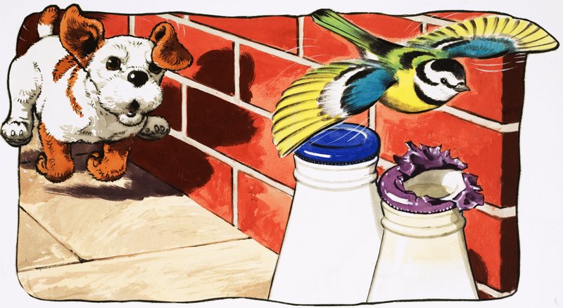 Paddy Paws alkotó: English School