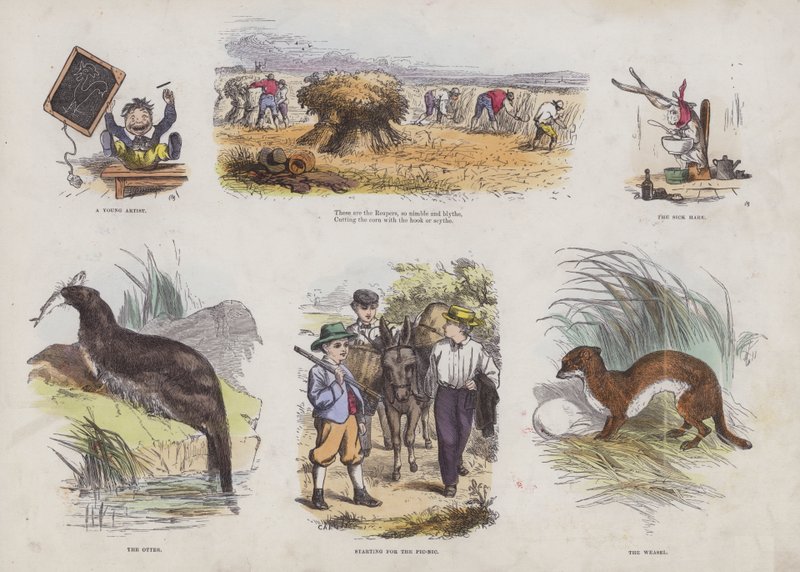 Oldal a Vonzó képeskönyvből (színes metszet) alkotó: English School